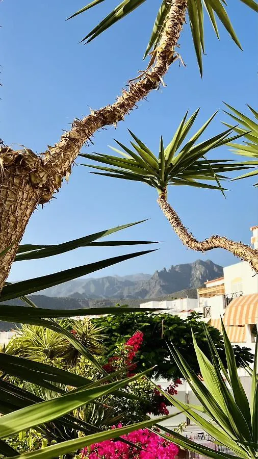Apartment Enchanting House South Tenerife, Sea View Costa Adeje